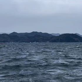 ローカルニュースで噂のの画像