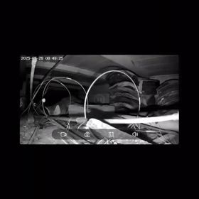 小さな命を助けたい！母子猫合流！の画像