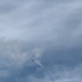 1/12  ✨✈️ コラボの画像