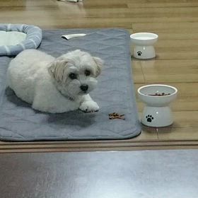 器から食べて欲しいの画像