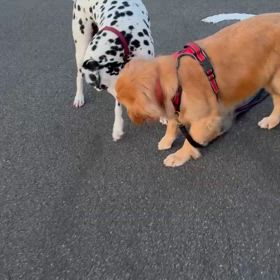 楽しい時間。の画像