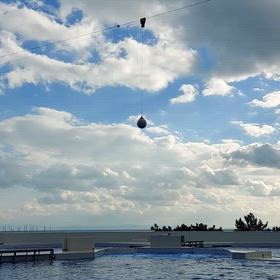 シャチのパフォーマンス素晴らしかったの画像