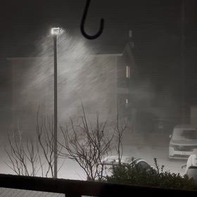 春が来るの画像