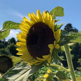 今年の夏の思い出の画像