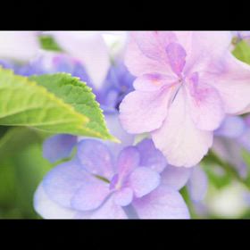 歌いたい衝動にかられて　♡の画像