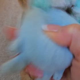 ライルとの画像