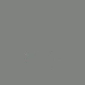 今日はバリトレの画像