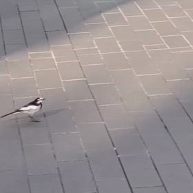 ✨イメージするって、人間だけの素敵な能力✨の画像