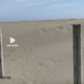 休みにはならず！の画像