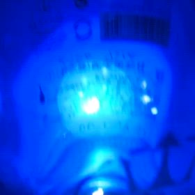 9月営業！の画像