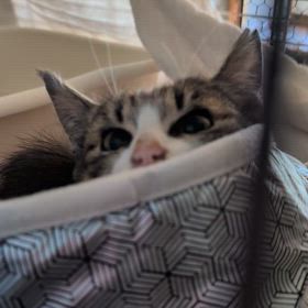 午後のひとコマの画像