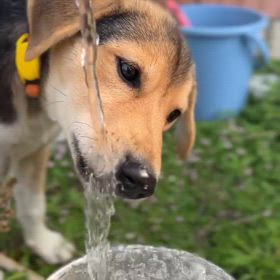 お水すき？の画像