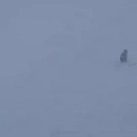 20240128  Jrﾚｰｼﾝｸﾞ夜越山練習の画像