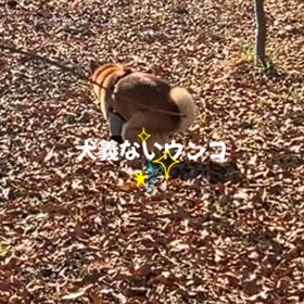 石岡八郷ベースオッサン半端ねぇの画像