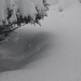 機械乗ってきて夫が雪押したの画像