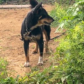 石岡八郷ベースの画像