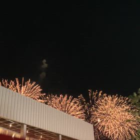 【株】9月権利銘柄以外も下げすぎちゃう？/万博花火の画像