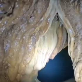 巨人　secret_history2/2695の画像