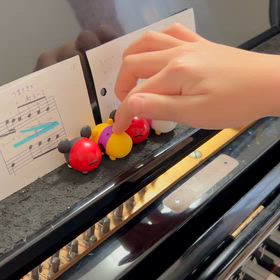 放牧はいないの画像