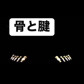 骨と腱の画像