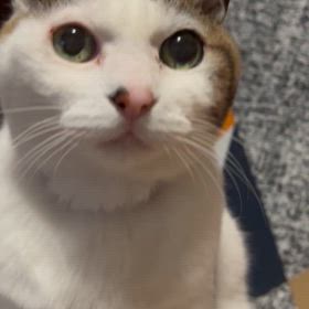 お天気の土曜日の朝久しぶりに太陽が元気な朝1月18日の画像