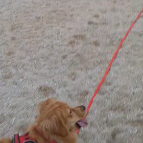 幸せな時間。の画像