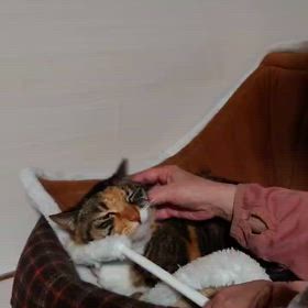 班長さんが送ってくれましたの画像