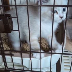 出してほしい〜のの画像