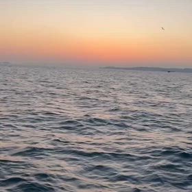 お見事！！！さすがです！！の画像