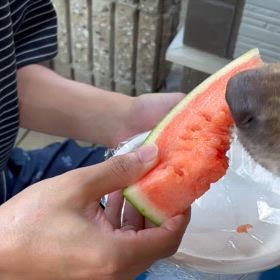 みんなが楽しいの画像