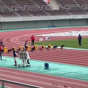 女子80m予選の画像