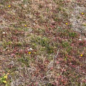 腸にも心があるの画像