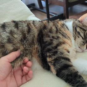 １２月１９日（金）の画像