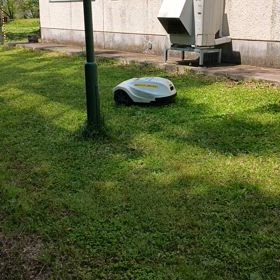 更年期障害の話をしようか　不整脈の画像