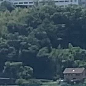 大和路線土休日ダイヤの画像