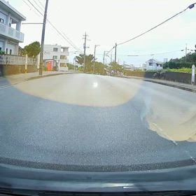 夏休みの自由研究の画像