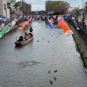春のウララの巴波川の画像