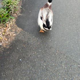 2024/03/08の画 像