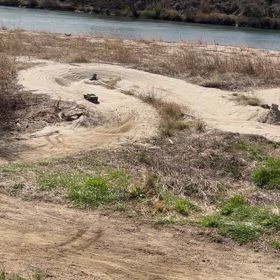 シェイクダウンの画像