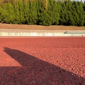 12月18日(水)  競技場で練習の画像