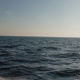 WTTファイナルズ福岡3日目速報[卓球/日本人対決]の画像