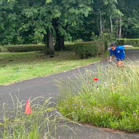 6/8 日清カップリレー練習②の画像