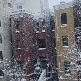 ニューヨーク　大雪　の巻き　何しろ連絡してくるBの画像