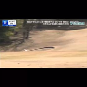 花ちゃん、頑張った！の画像