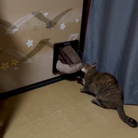 めいのお気に入り♡の画像