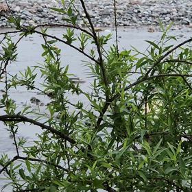 旅行に行こうと言われ・・・の画像