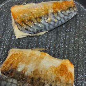 さかなさかなさかなの画像