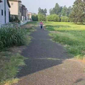 8/5 ミクちゃんのお散歩動画をご覧ください♪の画像