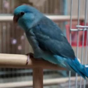 宇宙人さんの画像