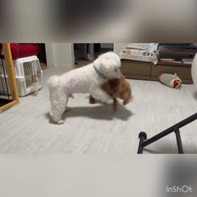 補足(笑)の画像